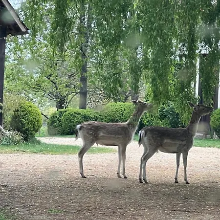 De Charme En Plein Cœur Du Calvados * Victot-Pontfol