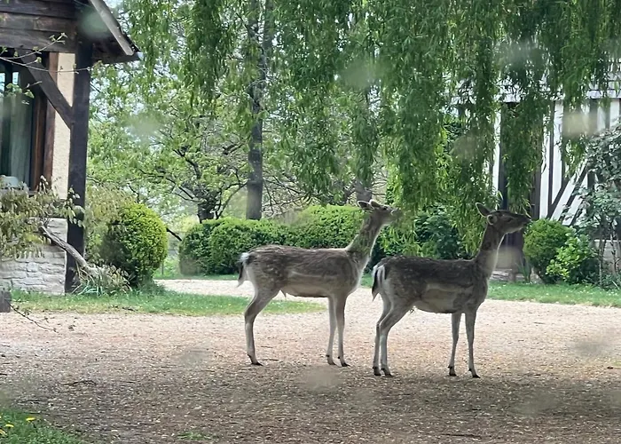 De Charme En Plein Coeur Du Calvados * Victot-Pontfol